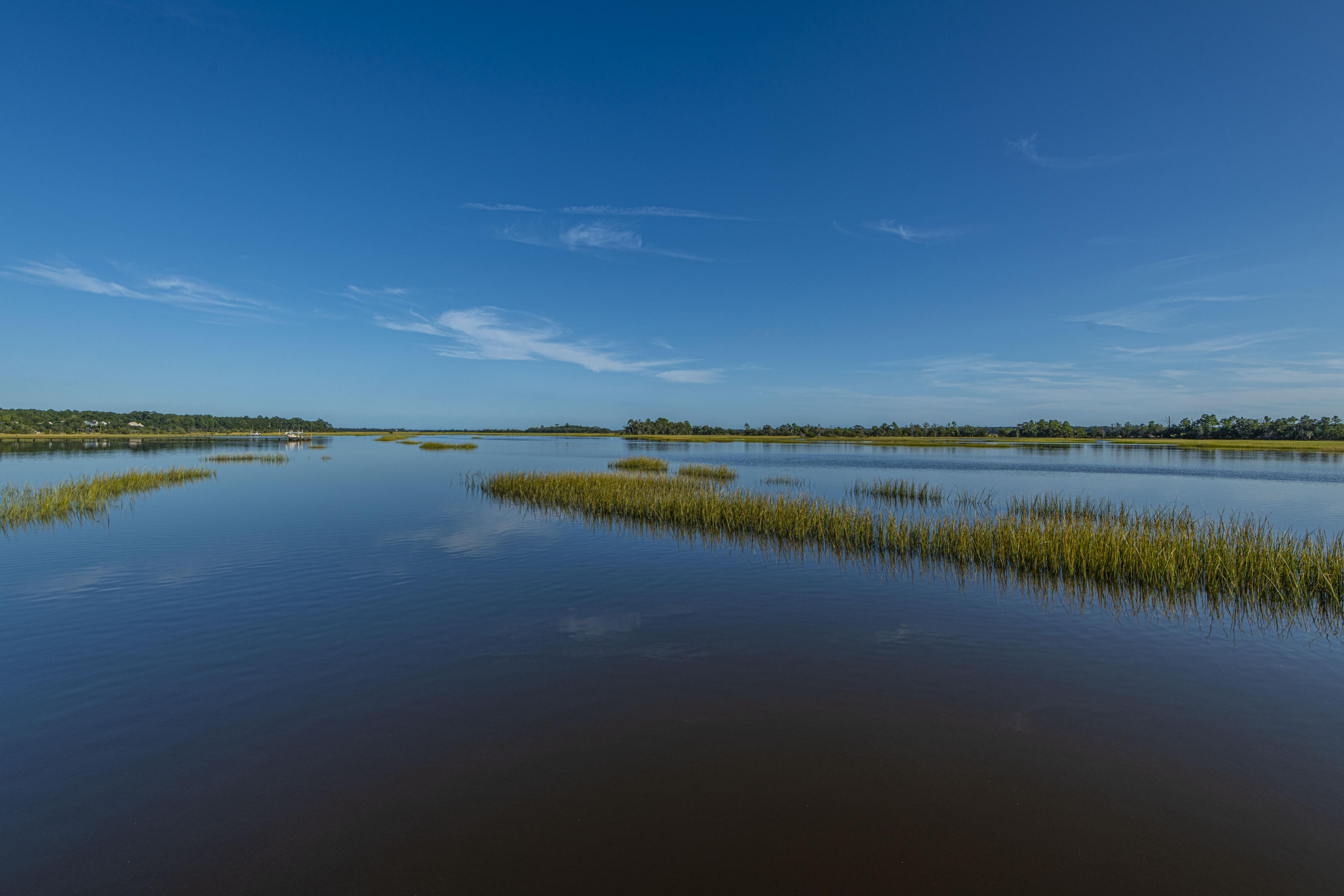 2133 Rookery Lane Charleston, SC 29414 - Photo 71 of 71 DSC_9000