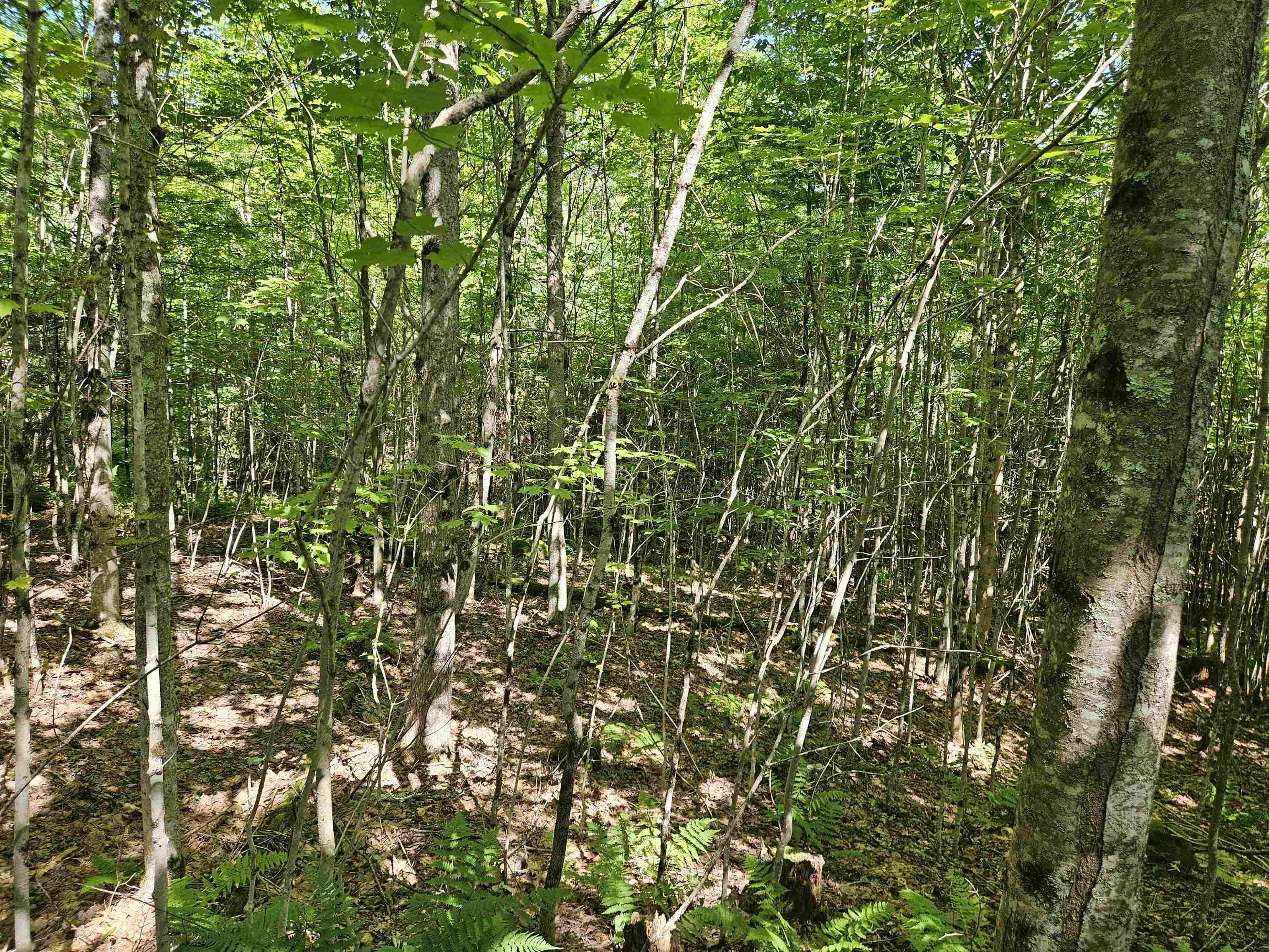 Lot 3.3 Off Parker Road Lisbon, NH 03585 - Photo 12 of 20