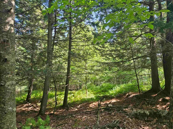 $85,500 | Lot 3.3 Off Parker Road, Lisbon, NH 03585