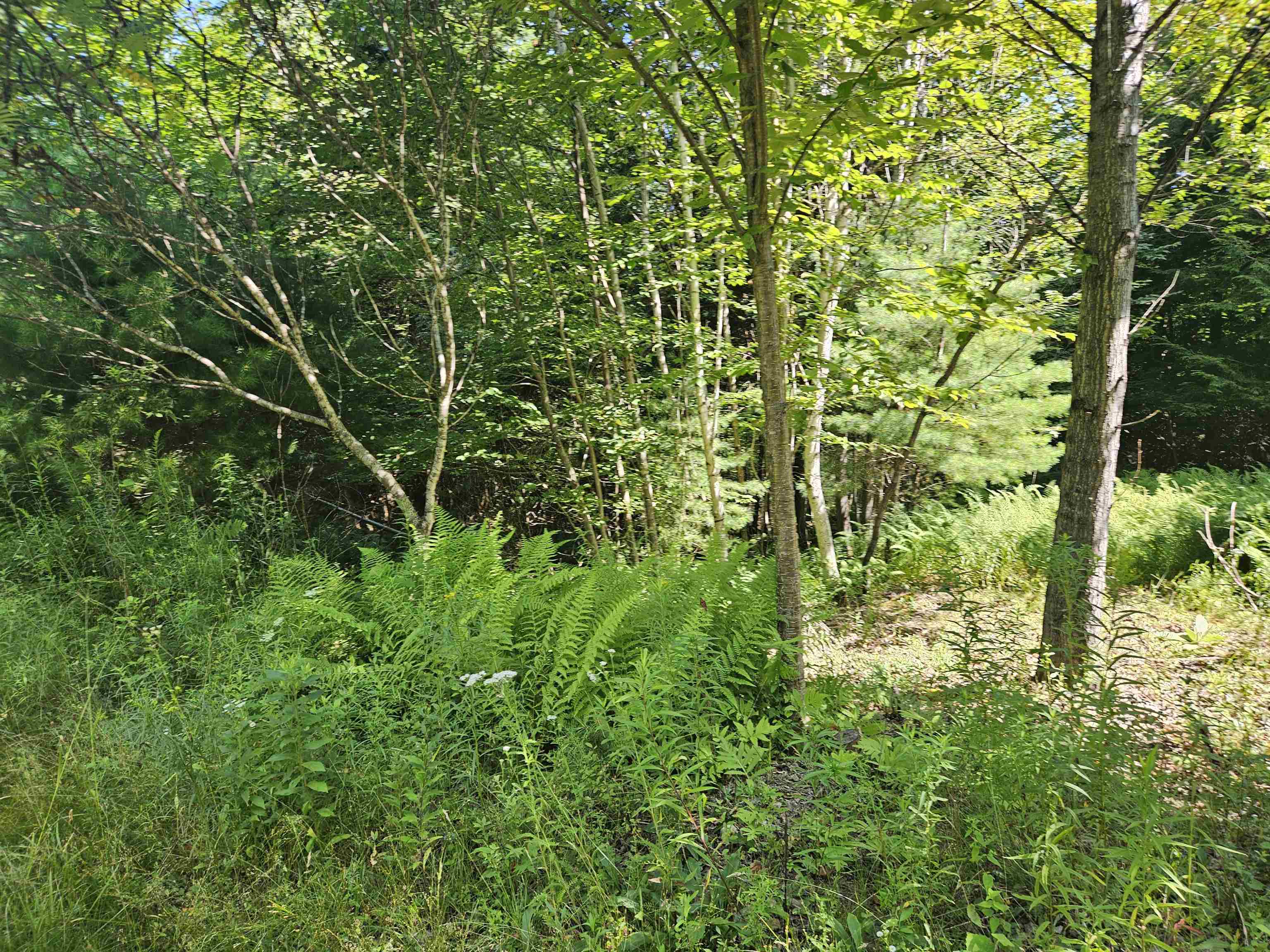 Lot 3.3 Off Parker Road Lisbon, NH 03585 - Photo 15 of 20