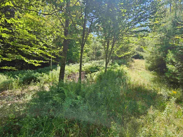 $85,500 | Lot 3.3 Off Parker Road, Lisbon, NH 03585