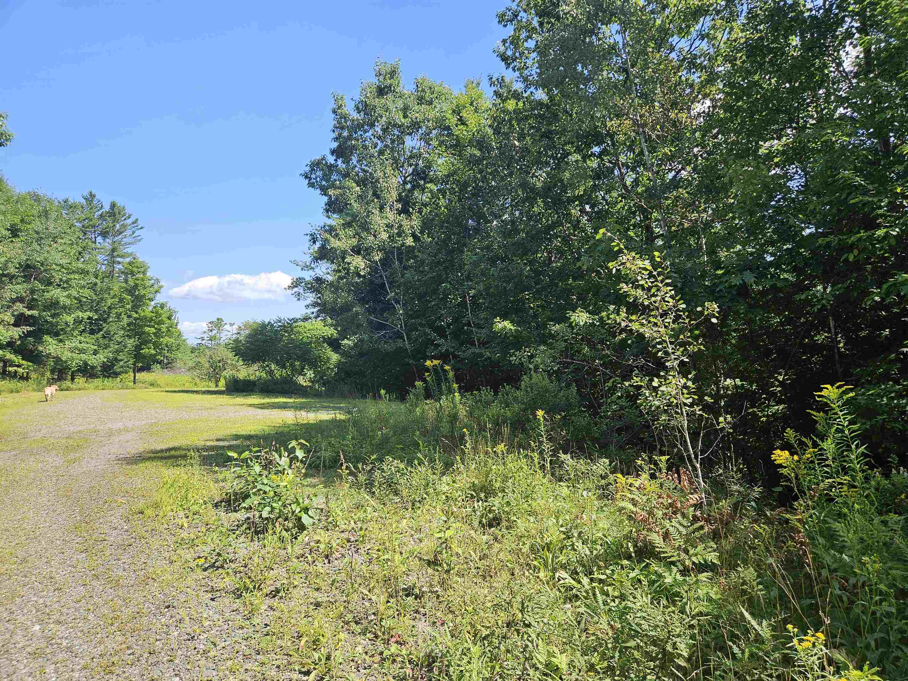 Lot 3.3 Off Parker Road Lisbon, NH 03585 - Photo 17 of 20