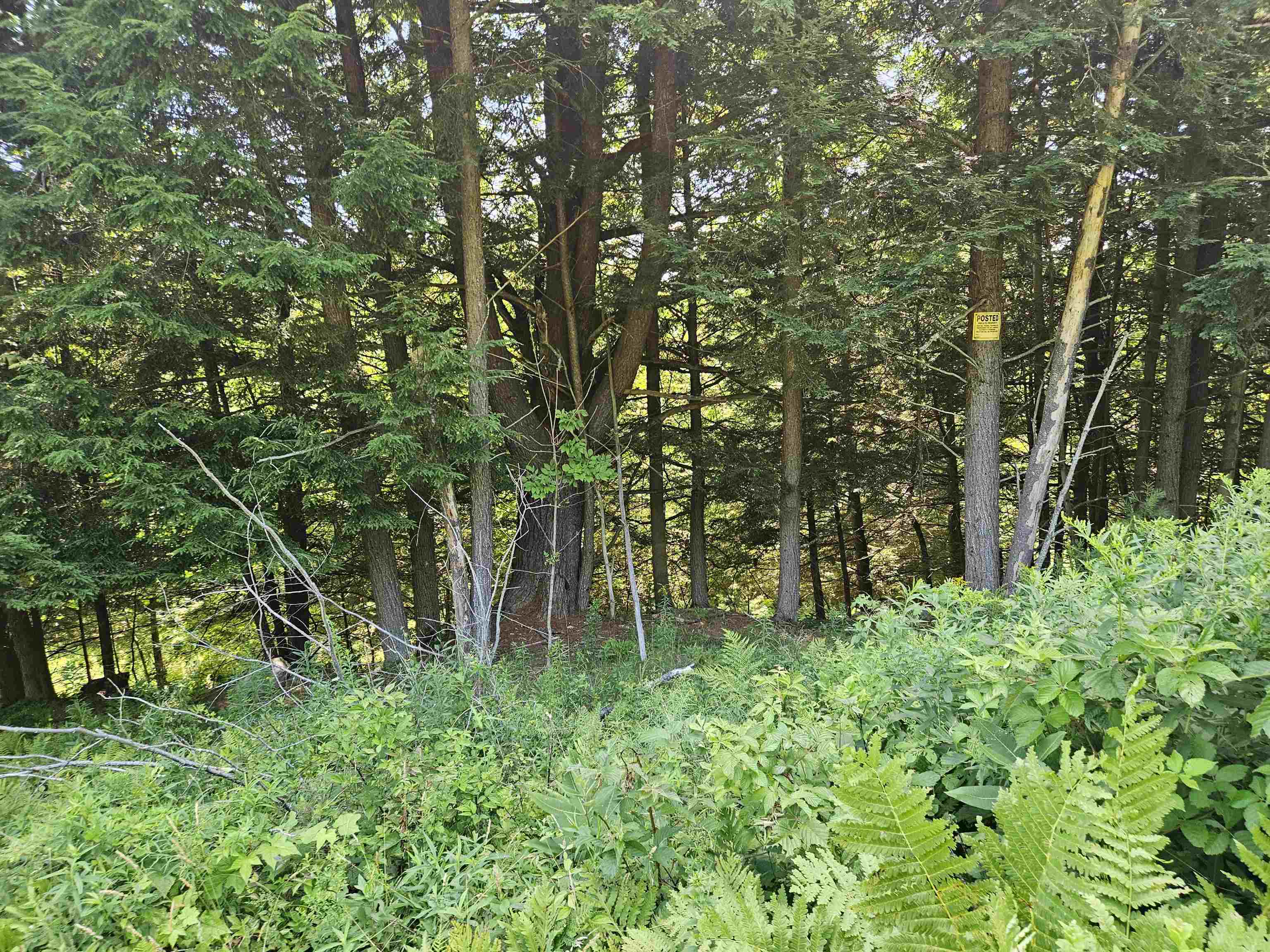 Lot 3.3 Off Parker Road Lisbon, NH 03585 - Photo 19 of 20