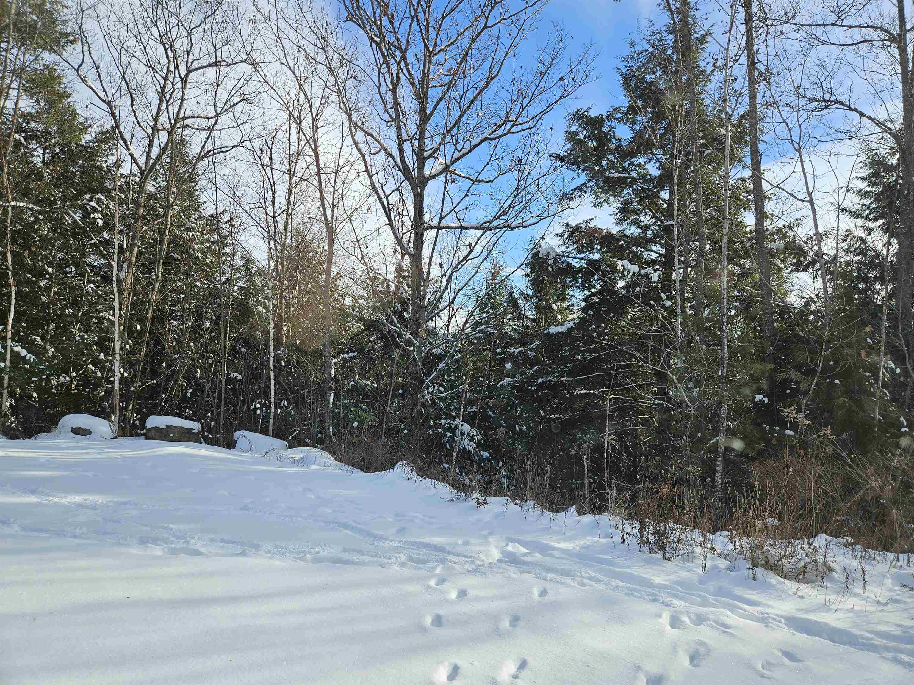 Lot 3.3 Off Parker Road Lisbon, NH 03585 - Photo 4 of 20