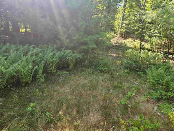 $85,500 | Lot 3.3 Off Parker Road, Lisbon, NH 03585