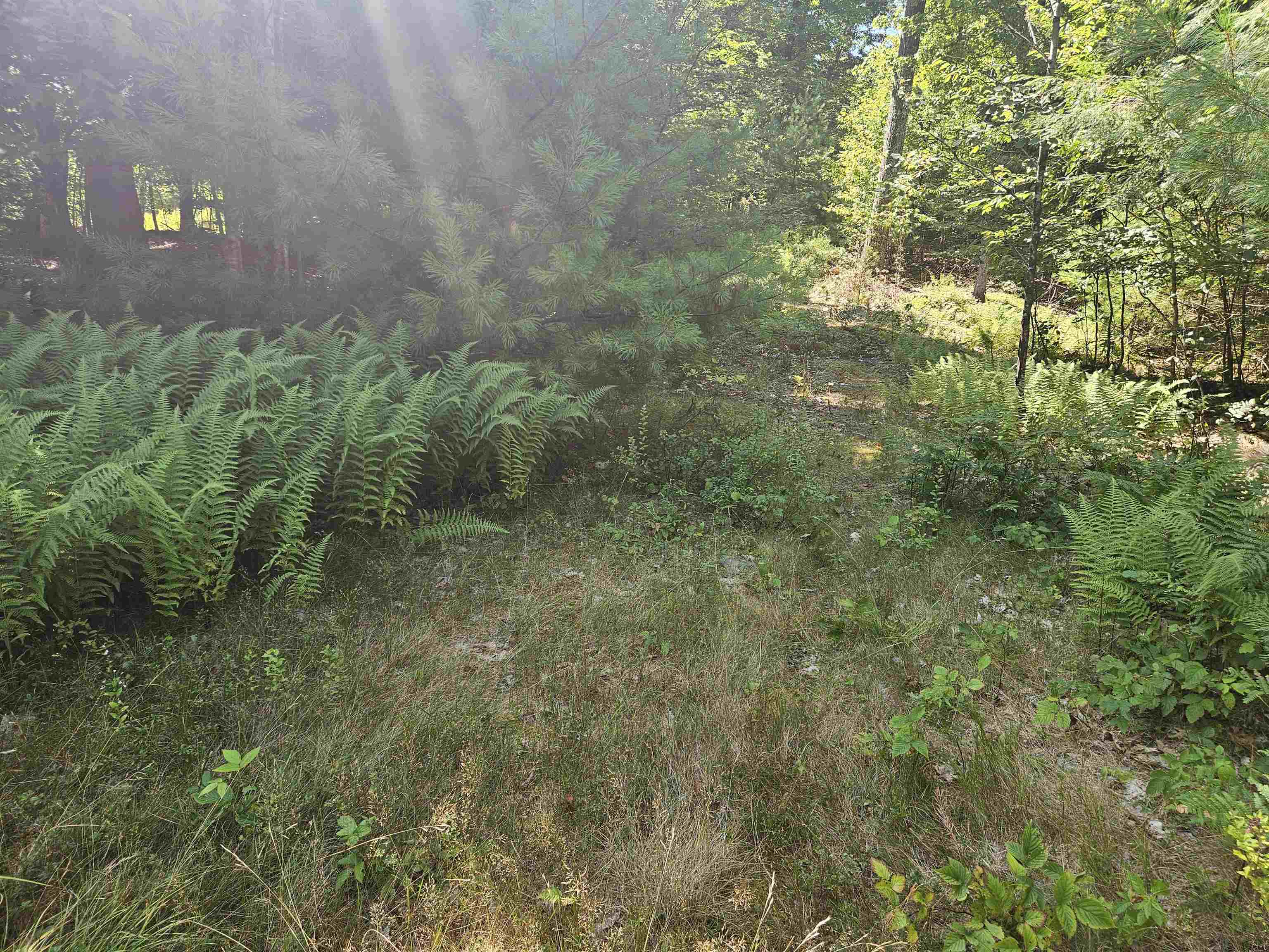Lot 3.3 Off Parker Road Lisbon, NH 03585 - Photo 6 of 20