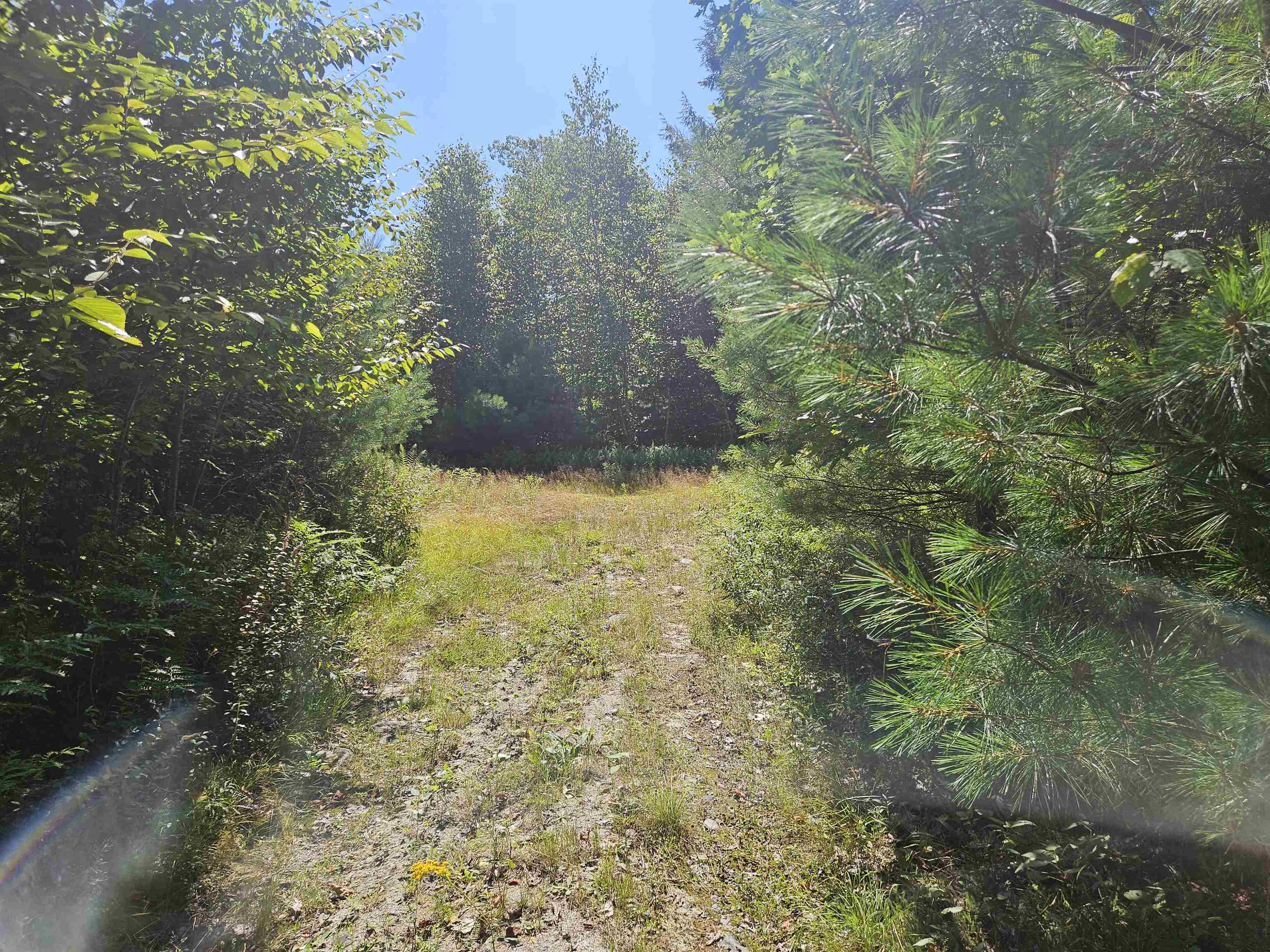 Lot 3.3 Off Parker Road Lisbon, NH 03585 - Photo 7 of 20