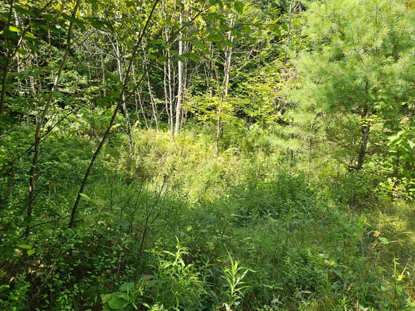 $85,500 | Lot 3.3 Off Parker Road, Lisbon, NH 03585