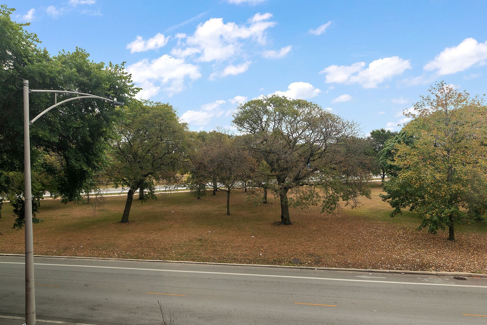 5150 South King Drive, Unit 2A Chicago, IL 60615 - Photo 9 of 22 a view of a yard with basketball court