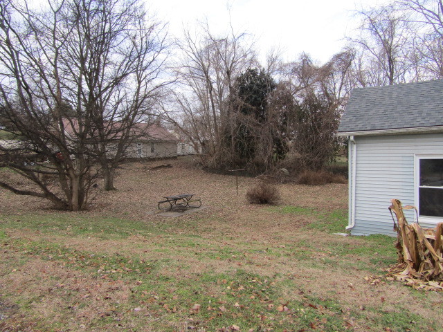 285 East School Street Cave In Rock, IL 62919 - Photo 18 of 20 a backyard of a house with table and chairs