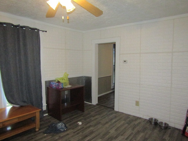 285 East School Street Cave In Rock, IL 62919 - Photo 4 of 20