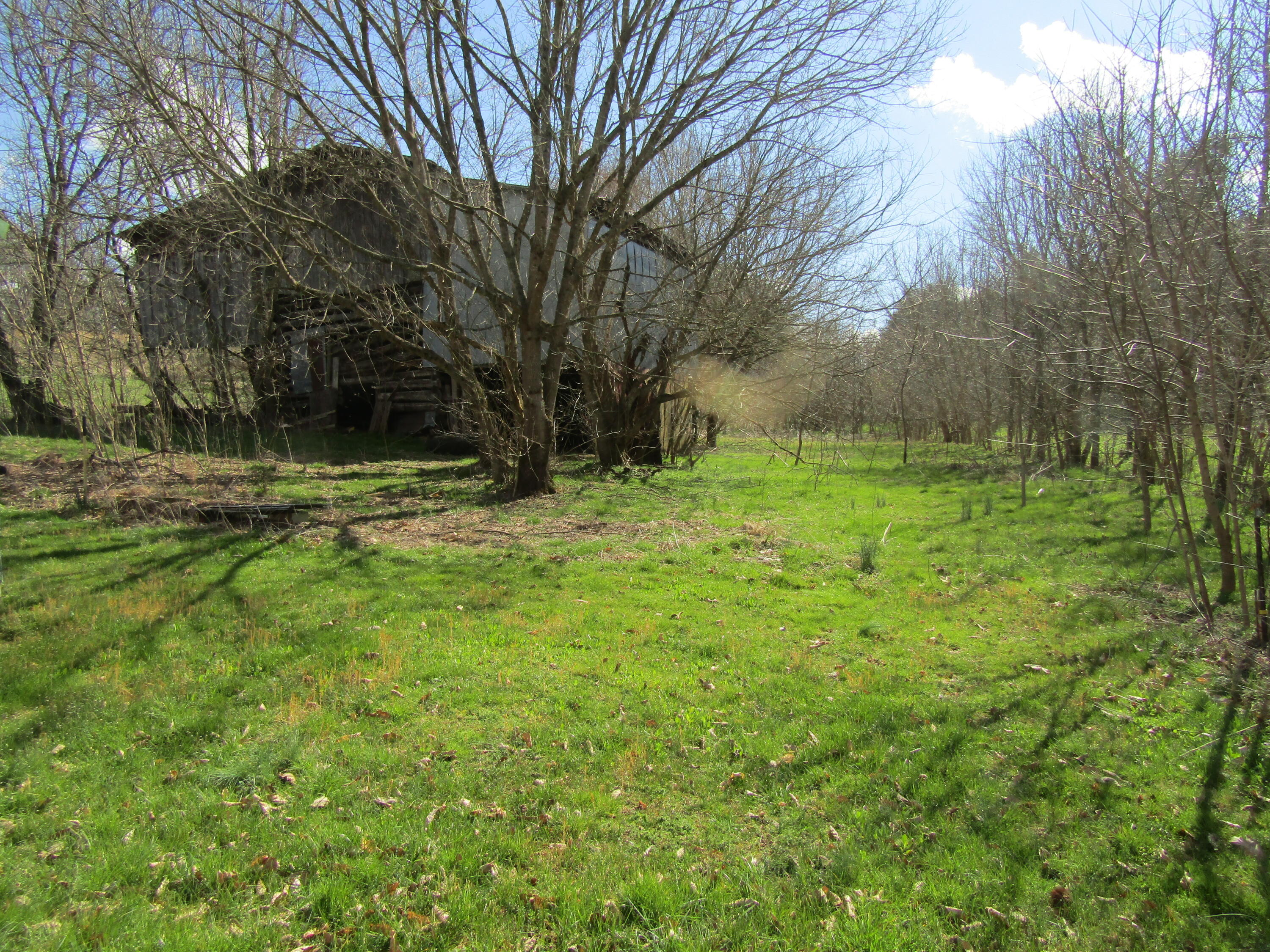 Lot # Middle Creek Road Afton, TN 37616 - Photo 1 of 4 MC 20,21 (2)