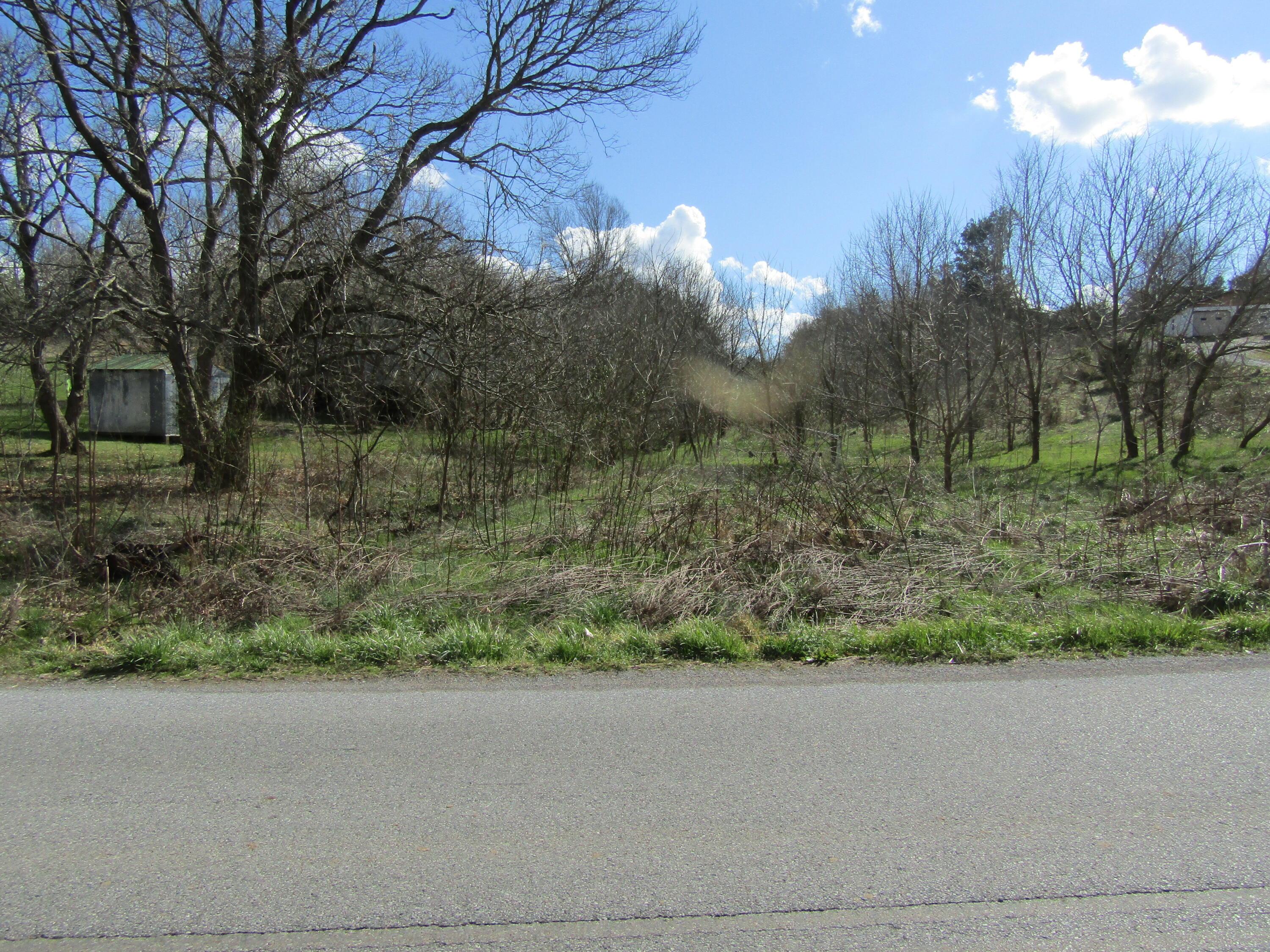 Lot # Middle Creek Road Afton, TN 37616 - Photo 4 of 4 middle creek 20, 21