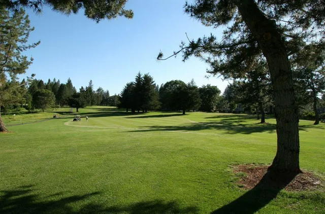 a view of a golf course