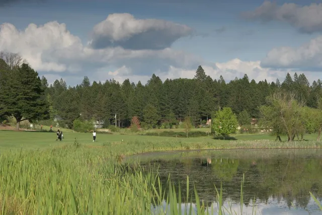 a view of a green field with trees in the background