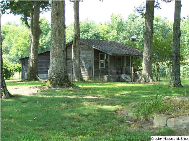 2066 Zion Hill Road Horton, AL 35980 - Photo 9 of 32