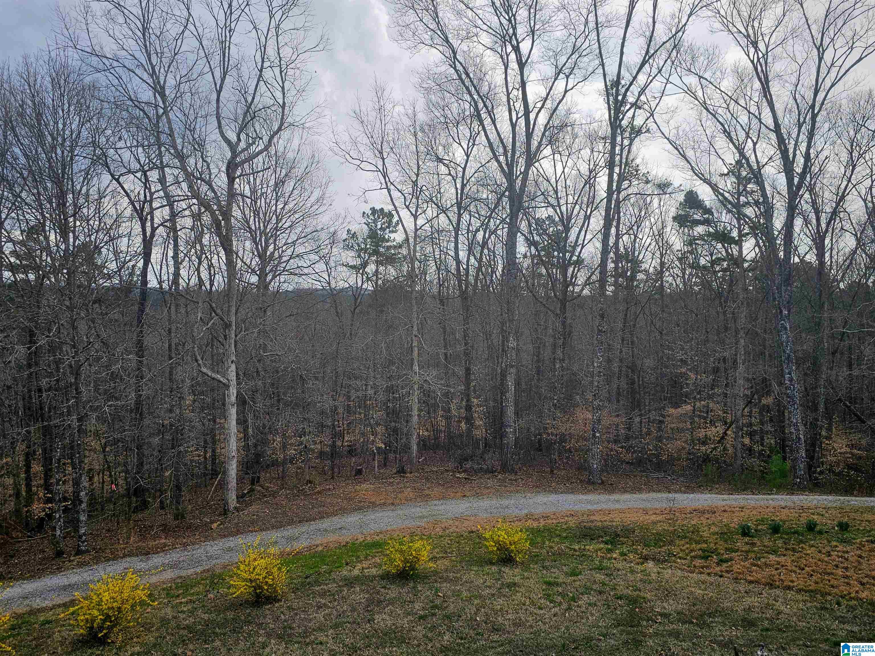 262 Howle Street Heflin, AL 36264 - Photo 29 of 40 Gallery Image 29