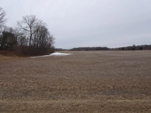 $217,000 | Tbd 270th Avenue, Luck, WI 54853