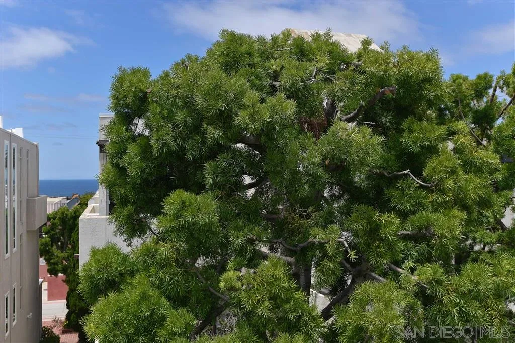 1228 Cave Street La Jolla, CA 92037 - Photo 22 of 22 an aerial view of a house with a yard