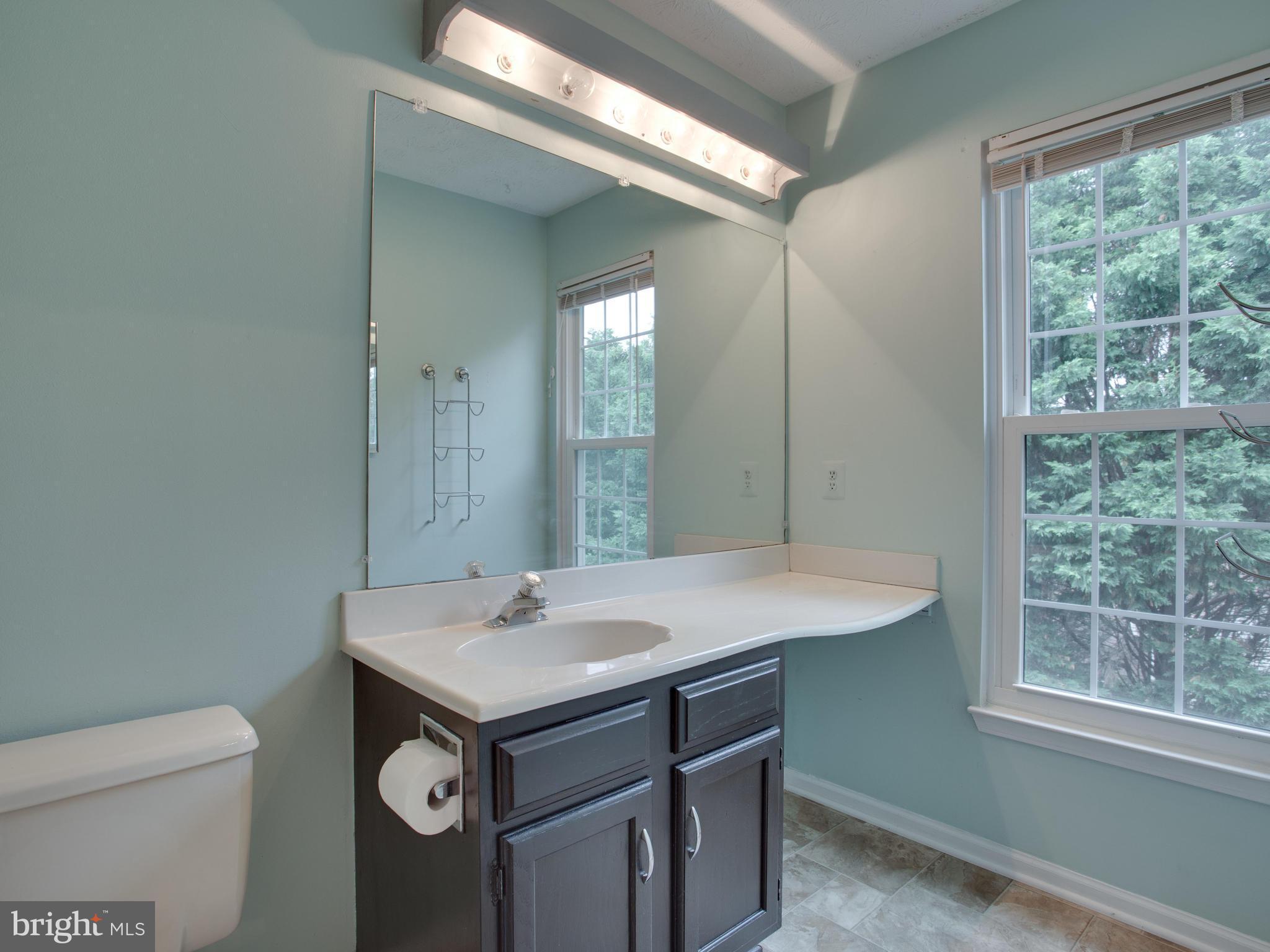 288 Raintree Drive Arnold, MD 21012 - Photo 18 of 30 Master bath