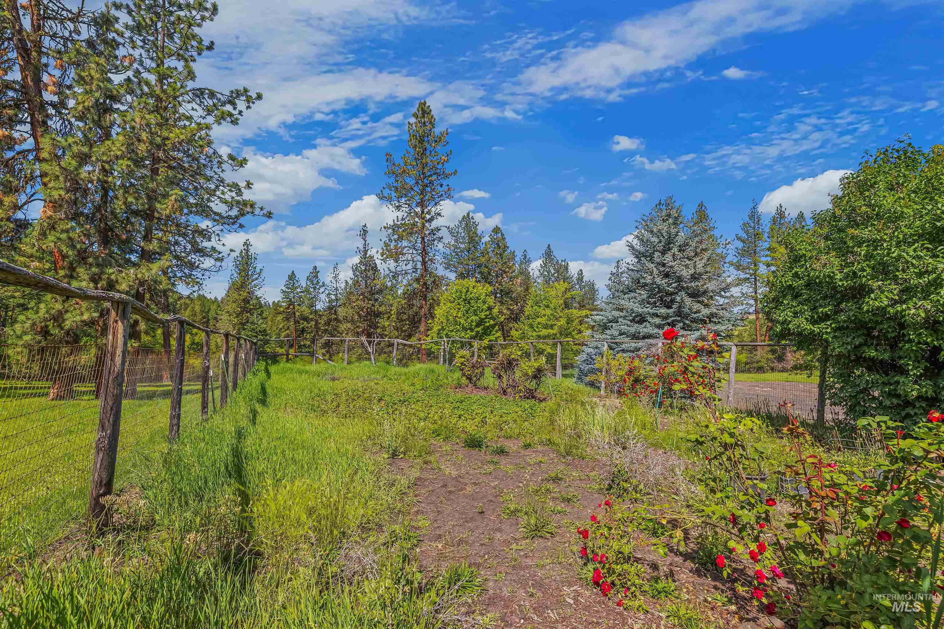 743 Wall Crk Road Stites, ID 83552 - Photo 7 of 48 Expansive outdoor space featuring a rustic wooden fence line, mature evergreen trees, and a garden area with blooming red roses