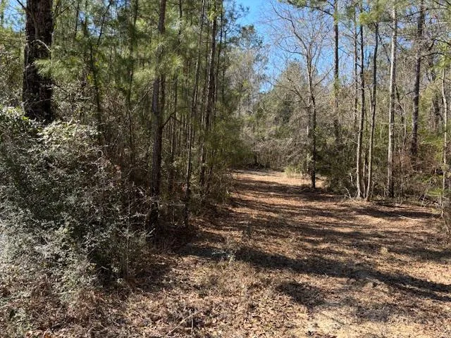 $39,715 | Lot #5 Jessie Stogner Road, Sandy Hook, MS 39478