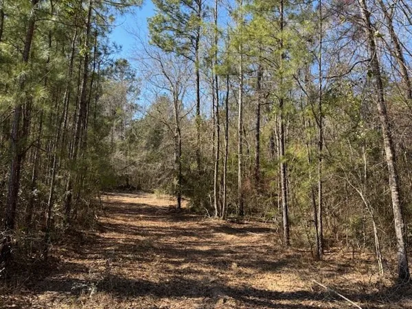$39,715 | Lot #5 Jessie Stogner Road, Sandy Hook, MS 39478