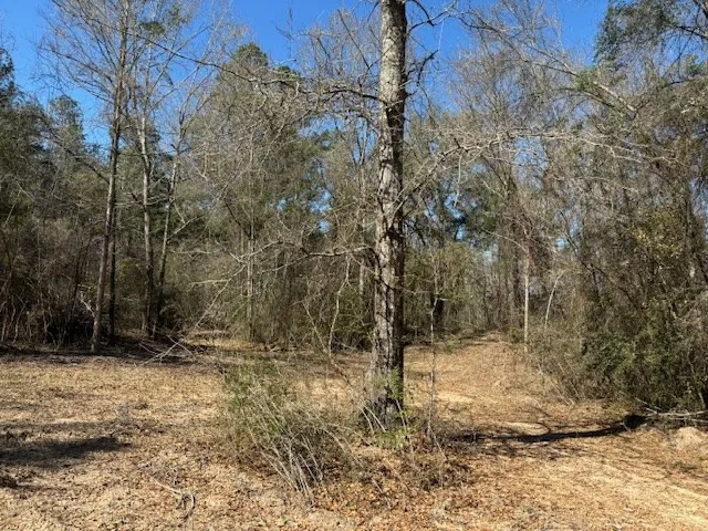 $39,715 | Lot #5 Jessie Stogner Road, Sandy Hook, MS 39478