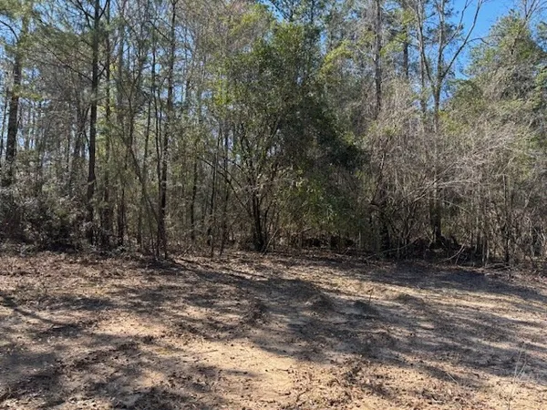 $39,715 | Lot #5 Jessie Stogner Road, Sandy Hook, MS 39478