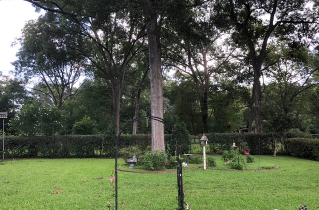 103 South Temple Road Natchez, MS 39120 - Photo 23 of 25 Photo 23