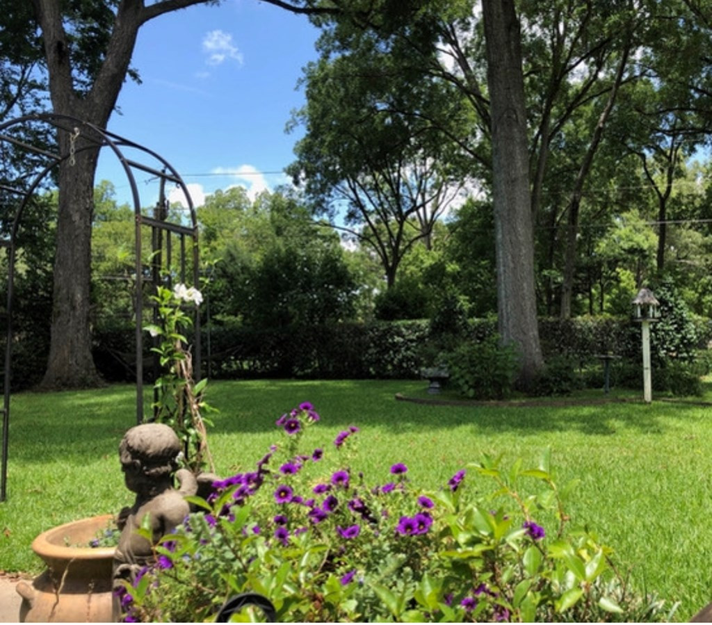 103 South Temple Road Natchez, MS 39120 - Photo 5 of 25 well maintained yard