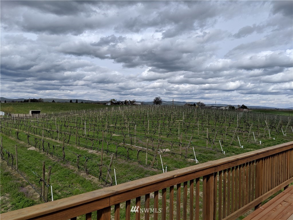 431 Division Road Zillah, WA 98953 - Photo 14 of 24 Gallery Image 14