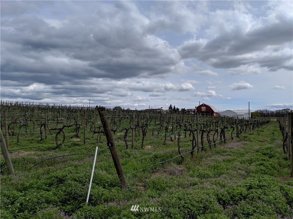 431 Division Road Zillah, WA 98953 - Photo 15 of 24 Gallery Image 15