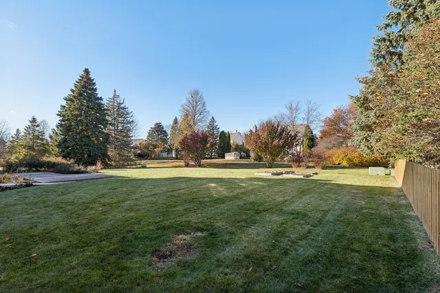 a view of field with trees in the background