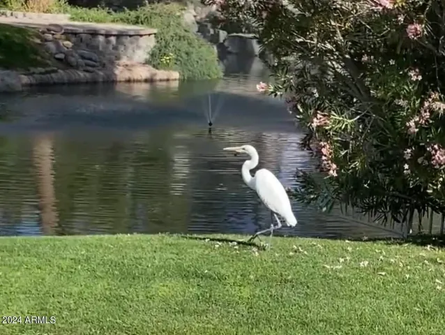 a view of a lake from a yard