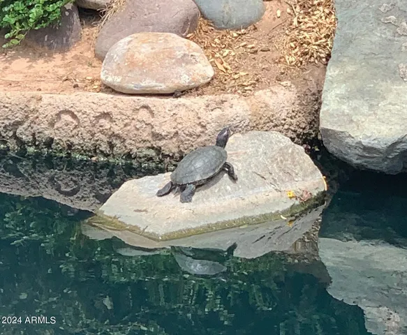 a close view of sink