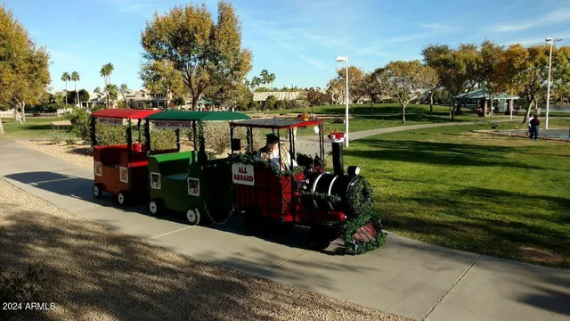a view of a park with large trees