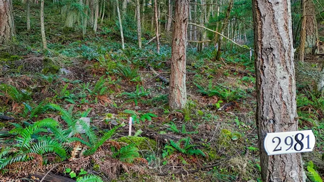 a view of a sign in a garden