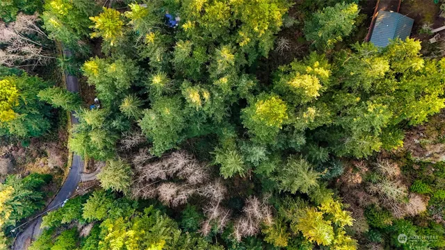 a view of a lake from a yard