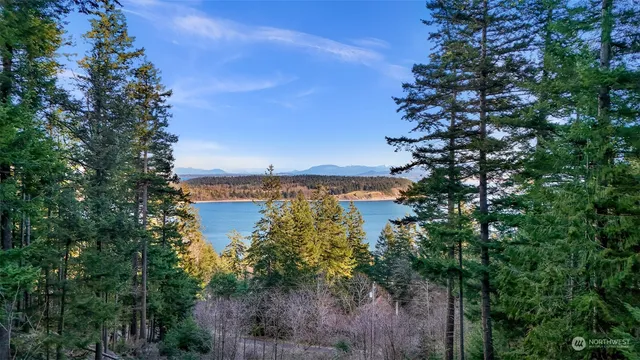 an aerial view of a house with a lake view