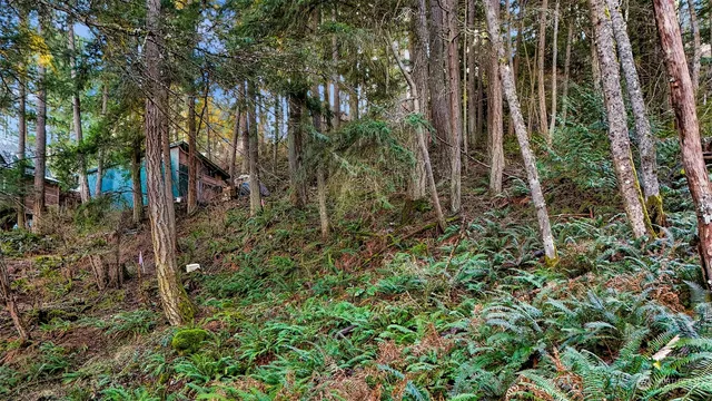 $70,000 | 2981 Hales Passage Drive, Lummi Island, WA 98262