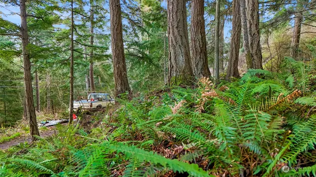 $70,000 | 2981 Hales Passage Drive, Lummi Island, WA 98262