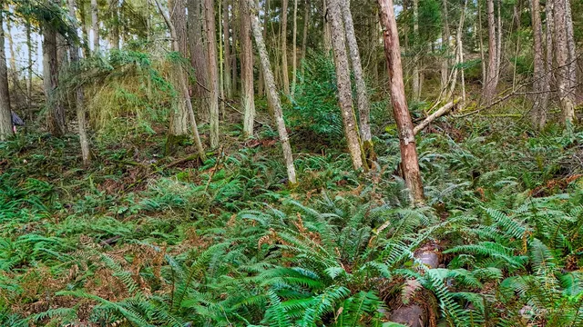 $70,000 | 2981 Hales Passage Drive, Lummi Island, WA 98262