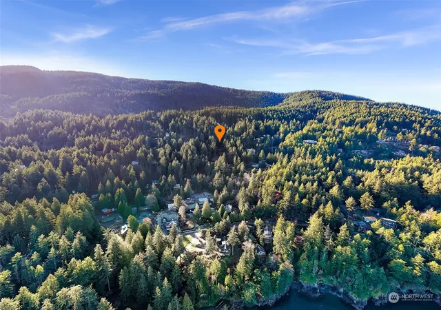 a view of a lush green field with mountains in the background