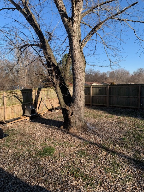 1 Cable Road Oak Grove, KY 42262 - Photo 9 of 10