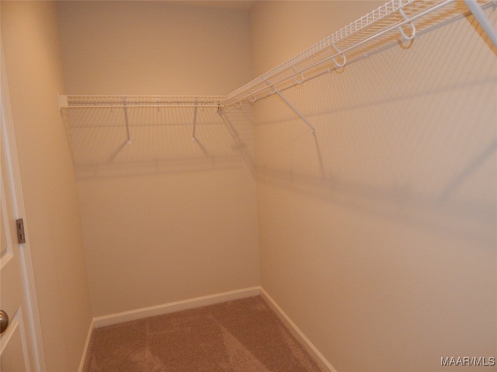 216 Gritney Road Daleville, AL 36322 - Photo 39 of 65 Main Walk-in closet
