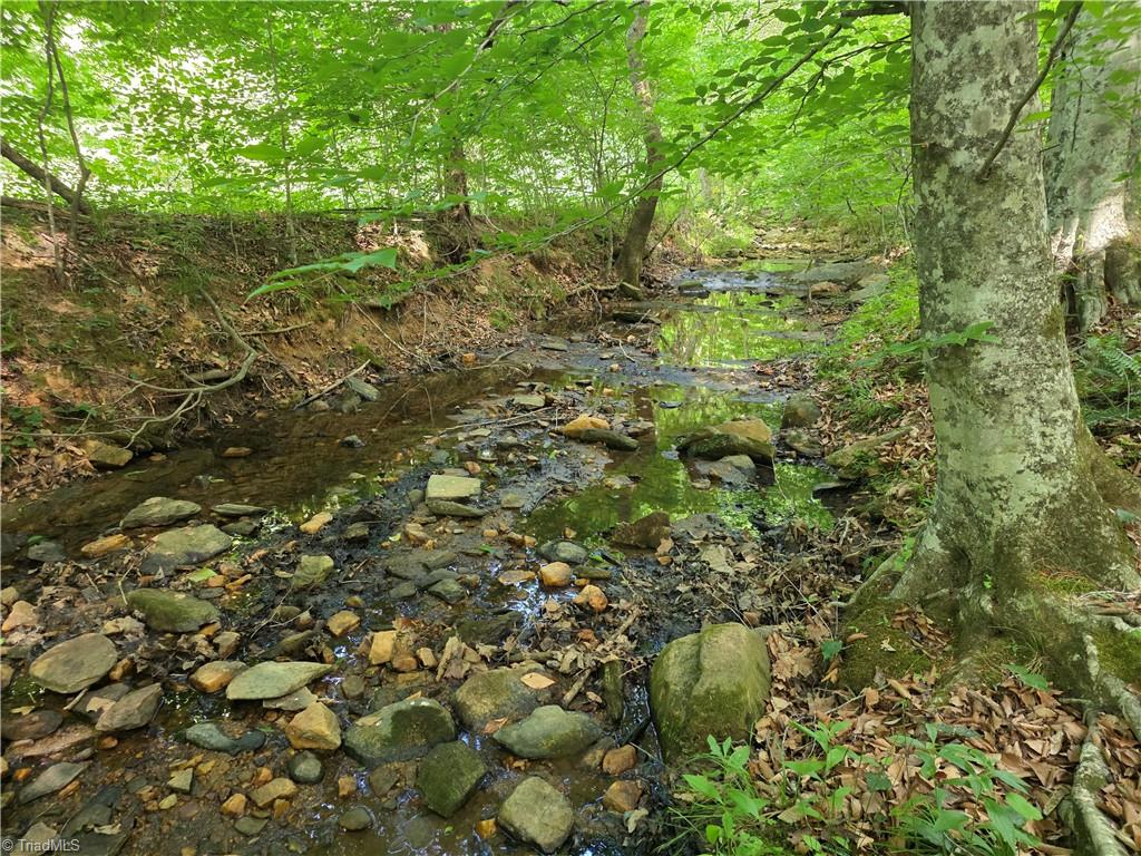 Xx 31.85-ac Xx 31.85-ac Hampton Road Germanton, NC 27019 - Photo 11 of 33