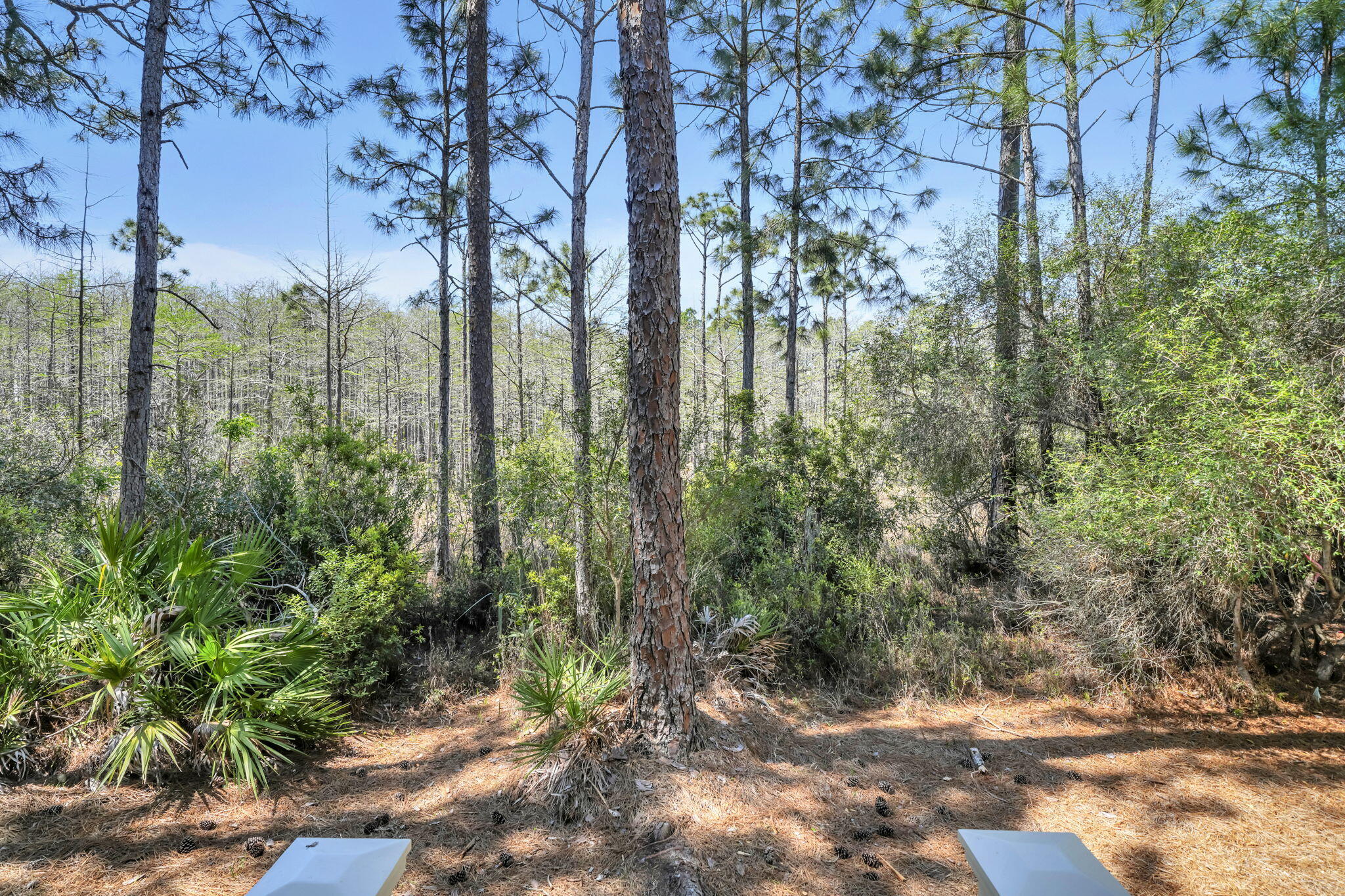 74 Cypress Drive Santa Rosa Beach, FL 32459 - Photo 24 of 87 24-web-or-mls-DSC04331_1