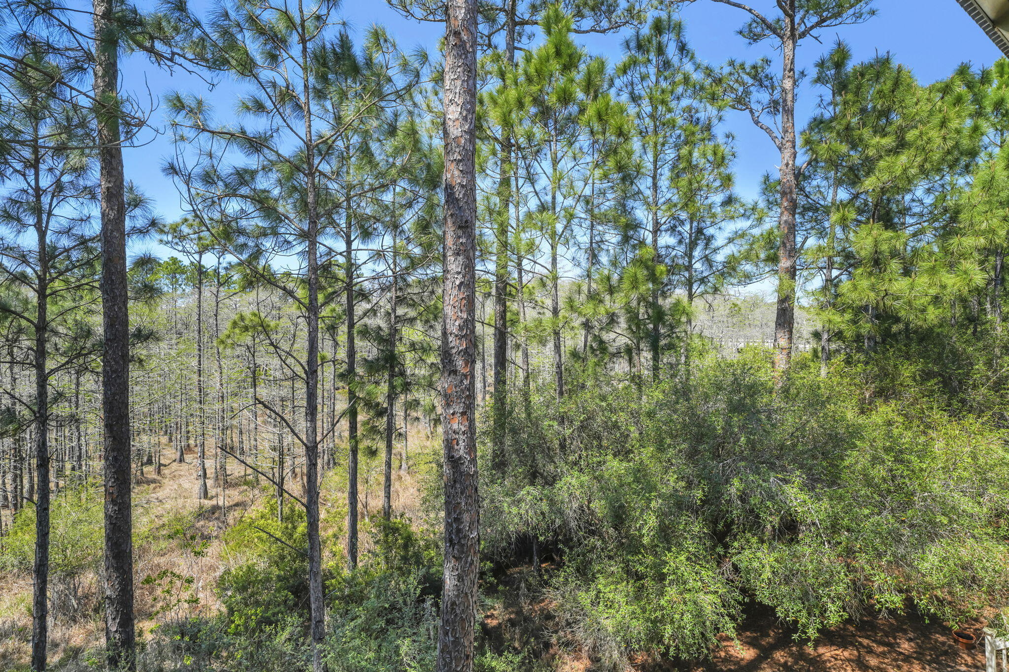 74 Cypress Drive Santa Rosa Beach, FL 32459 - Photo 52 of 87 54-web-or-mls-DSC04425_1