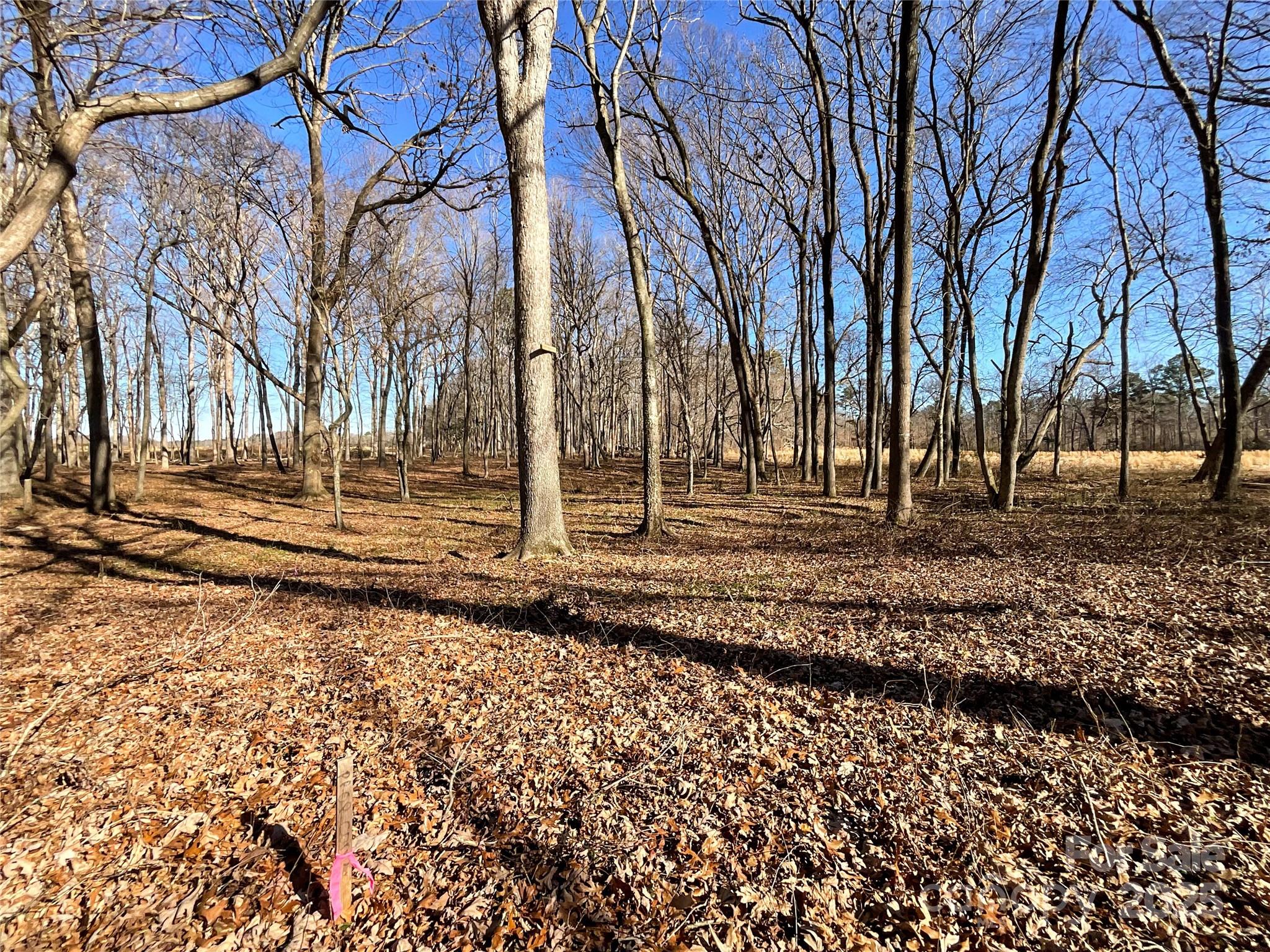 5821 Stack Road Monroe, NC 28112 - Photo 6 of 15 a view of a backyard with green space
